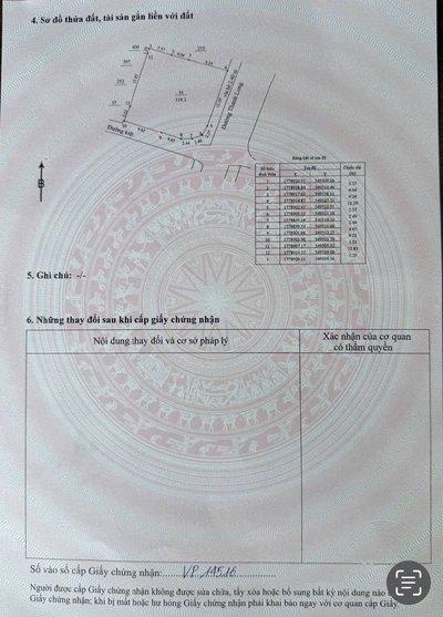 Bán đất nền 319m² tại Thanh Bình, Hải Châu, Đà Nẵng - Thumbnail 4