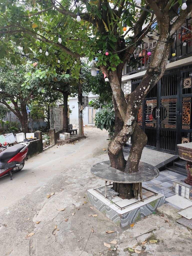 Bán đất nền 262m² 1 phòng ngủ tại Hòa Hiệp Nam, Liên Chiểu, Đà Nẵng - Photo 2