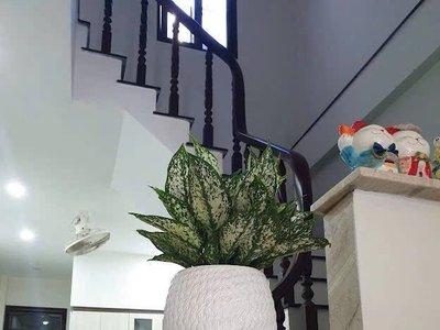 Bán nhà 63m² 3 phòng ngủ tại Hải Châu, Đà Nẵng - Thumbnail 4