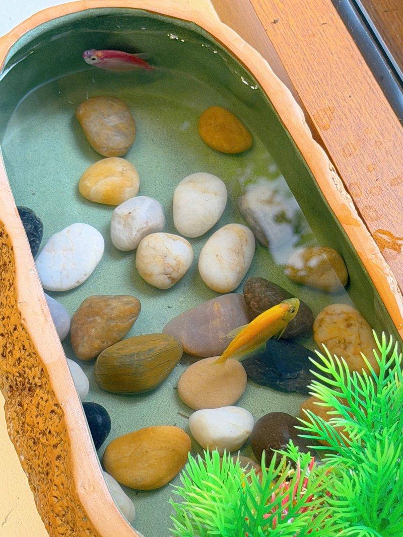 Bán nhà 74m² 4 phòng ngủ tại Thanh Khê Đông, Thanh Khê, Đà Nẵng - Photo 9