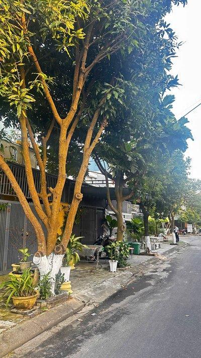 Bán nhà 90m² 3 phòng ngủ tại Khuê Mỹ, Ngũ Hành Sơn, Đà Nẵng - Thumbnail 4