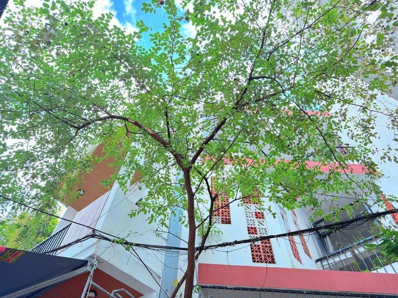 Bán nhà 56m² 3 phòng ngủ tại Hải Châu I, Hải Châu, Đà Nẵng - Photo 1