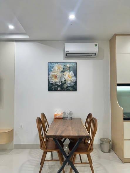 Apartment for rent, Ngũ Hành Sơn, Đà Nẵng - Photo 4