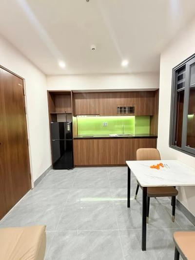 Cho thuê căn hộ, 1 phòng ngủ, Ngũ Hành Sơn, Đà Nẵng - Thumbnail 3