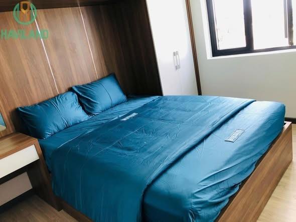 Apartment for rent, Hải Châu, Đà Nẵng - Photo 1