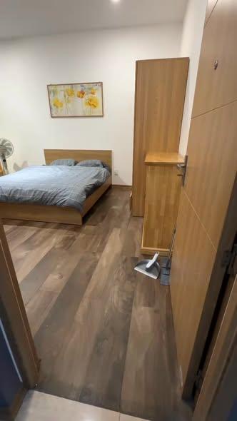 Studio for rent, 1 bedroom, Sơn Trà, Đà Nẵng - Thumbnail 1