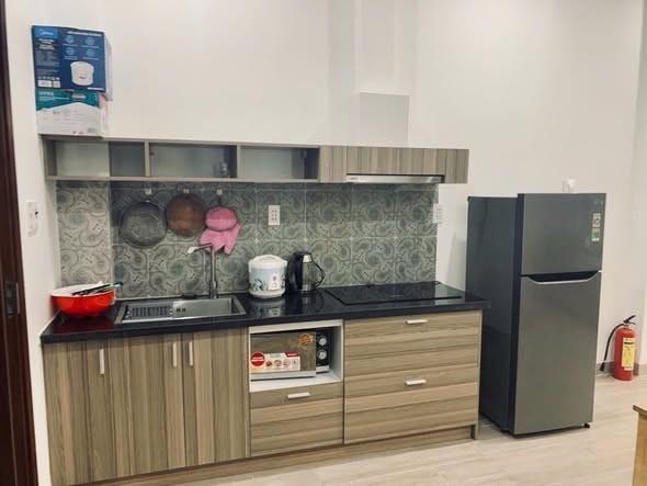 Cho thuê căn hộ, Dương Đình Nghệ, An Hải, Đà Nẵng - Photo 4