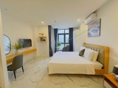 Cho thuê căn hộ, 38m², Lý Nhật Quang, Sơn Trà, Đà Nẵng - Thumbnail 5