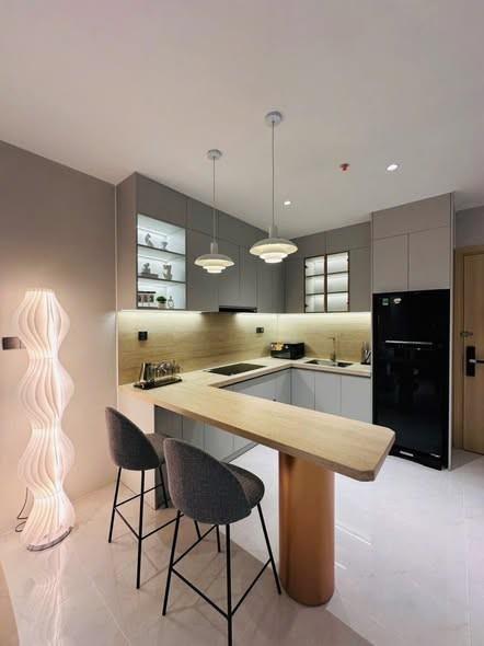 Cho thuê căn hộ, Ngũ Hành Sơn, Đà Nẵng - Photo 3