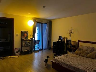 Cho thuê căn hộ, Mộc Sơn 1, Ngũ Hành Sơn, Đà Nẵng - Thumbnail 2