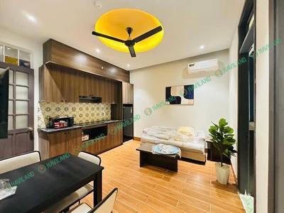 Cho thuê căn hộ, 2 phòng ngủ, Mai Lão Bạng, Hải Châu, Đà Nẵng - Thumbnail 2