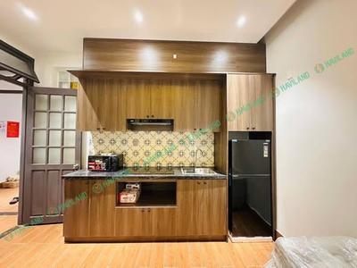 Cho thuê căn hộ, 2 phòng ngủ, Mai Lão Bạng, Hải Châu, Đà Nẵng - Thumbnail 5