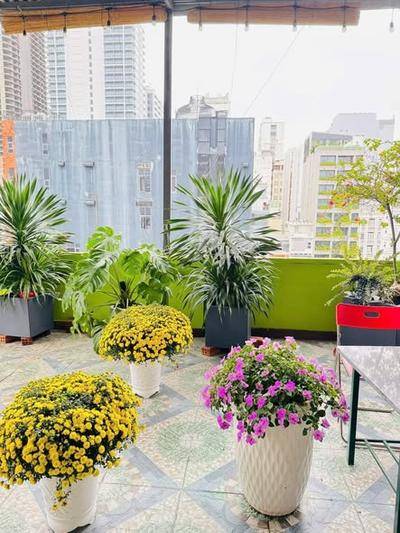 Cho thuê căn hộ, 1 phòng ngủ, Sương Nguyệt Ánh, An Hải, Đà Nẵng - An Hải, Đà Nẵng