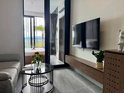 Apartment for rent, 1 bedroom, Sơn Thủy 1, Ngũ Hành Sơn, Đà Nẵng - Thumbnail 1