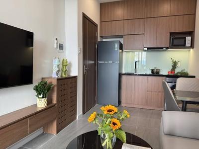 Apartment for rent, 1 bedroom, Sơn Thủy 1, Ngũ Hành Sơn, Đà Nẵng - Thumbnail 4