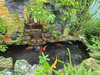 House for rent, 4 bedrooms, 130m², Nguyễn Phước Nguyên, An Khê, Đà Nẵng - Thumbnail 5