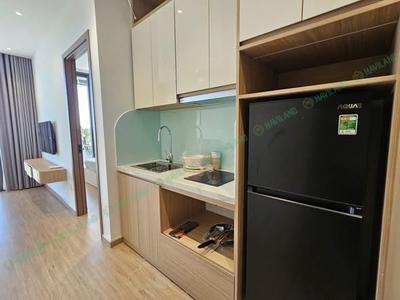 Apartment for rent, Khuê Mỹ Đông 15, Ngũ Hành Sơn, Đà Nẵng - Thumbnail 2