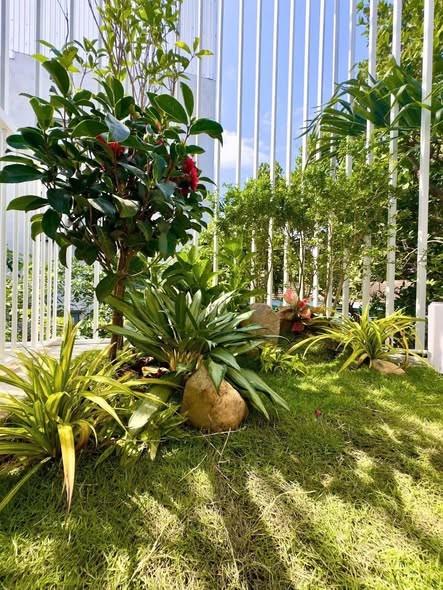 House for rent, 3 bedrooms, 62m², Trần Hoành, Ngũ Hành Sơn, Đà Nẵng - Photo 3