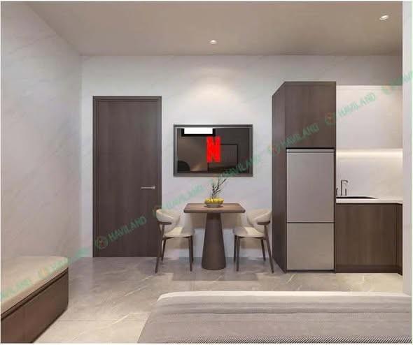 Studio for rent, 1 bedroom, Trần Nam Trung, Hòa Xuân, Đà Nẵng - Photo 2