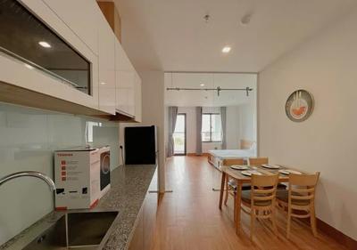 Cho thuê căn hộ, 1 phòng ngủ, 50m², Phan Huy Chú, An Hải, Đà Nẵng - Thumbnail 2