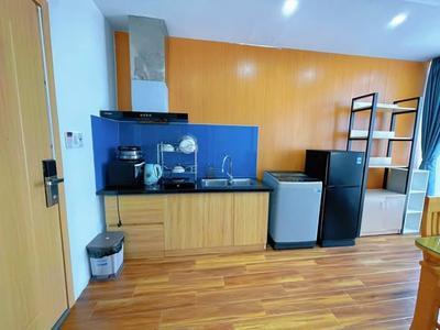 Apartment for rent, 1 bedroom, Khuê Mỹ Đông 12, Ngũ Hành Sơn, Đà Nẵng - Thumbnail 3