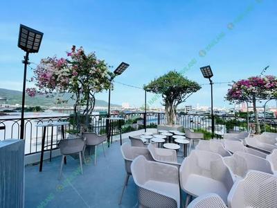 Apartment for rent, Hồ Hán Thương, Sơn Trà, Đà Nẵng - Thumbnail 5