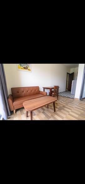 Cho thuê căn hộ, 1 phòng ngủ, Phan Tứ, Ngũ Hành Sơn, Đà Nẵng - Photo 3