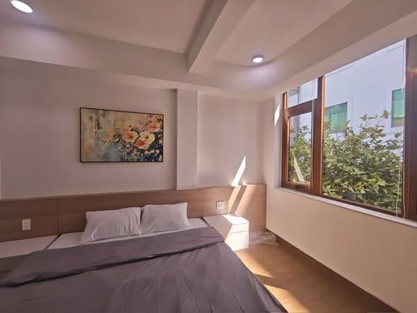 Cho thuê căn hộ, Phan Châu Trinh, Hòa Cường, Đà Nẵng - Photo 3