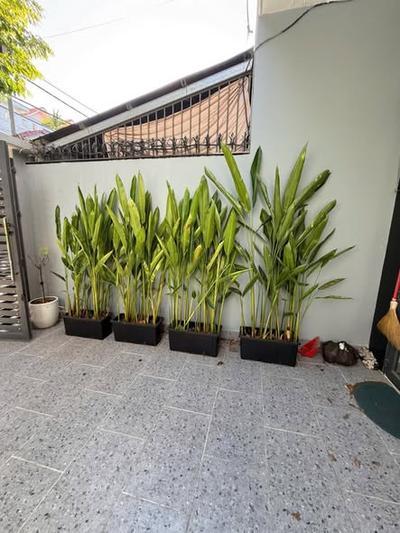 House for rent, 3 bedrooms, 80m², Phú Lộc 1, Hòa Khánh, Đà Nẵng - Thumbnail 5