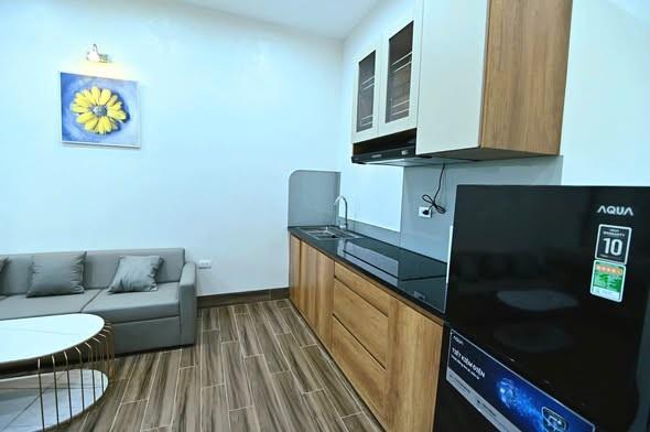 Apartment for rent, 1 bedroom, Trịnh Lỗi, Ngũ Hành Sơn, Đà Nẵng - Photo 3