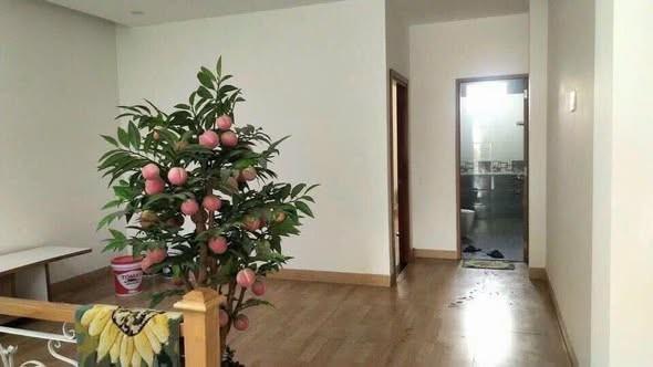 Cho thuê nhà riêng, 3 phòng ngủ, 70m², Bắc Sơn, An Khê, Đà Nẵng - Photo 3