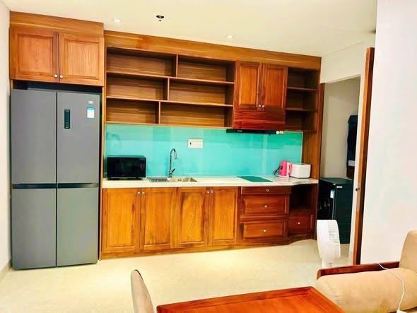 Apartment for rent, Ngô Thì Sĩ, Ngũ Hành Sơn, Đà Nẵng - Photo 3