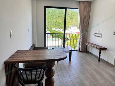 Studio for rent, 1 bedroom, Hà Tông Huân, Sơn Trà, Đà Nẵng - Thumbnail 3