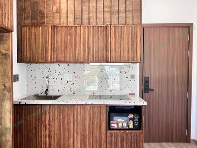Studio for rent, 1 bedroom, Hà Tông Huân, Sơn Trà, Đà Nẵng - Thumbnail 5