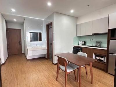 Cho thuê căn hộ, 45m², An Thượng 33, Ngũ Hành Sơn, Đà Nẵng - Thumbnail 2