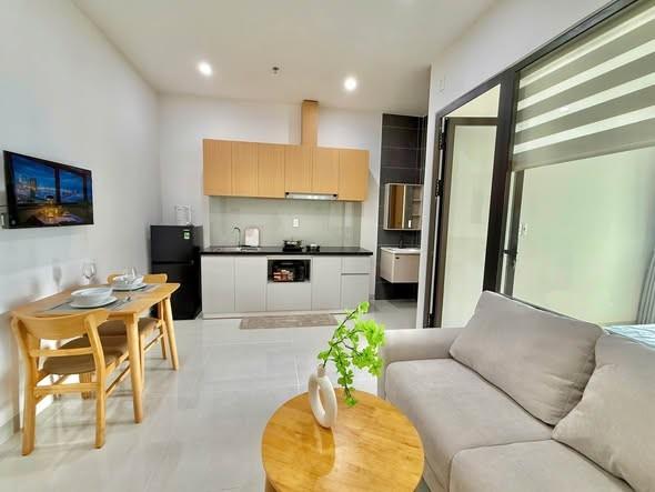 Apartment for rent, Nguyễn Xuân Khoát, An Hải, Đà Nẵng - Photo 3