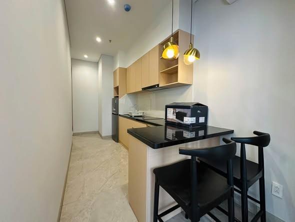 Apartment for rent, Vũ Mộng Nguyên, Ngũ Hành Sơn, Đà Nẵng - Photo 4