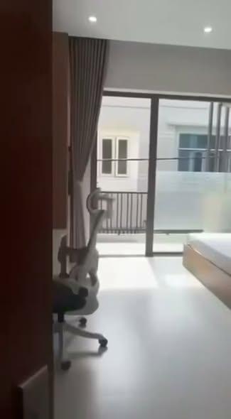 Cho thuê căn hộ, Lưu Quang Thuận, Ngũ Hành Sơn, Đà Nẵng - Thumbnail 1
