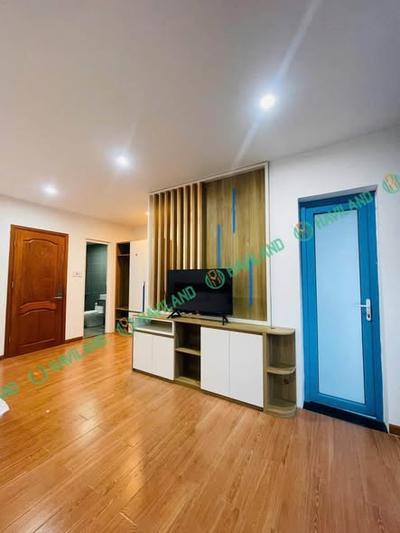 Studio for rent, 1 bedroom, 40m², Khuê Mỹ Đông 10, Ngũ Hành Sơn, Đà Nẵng - Thumbnail 5