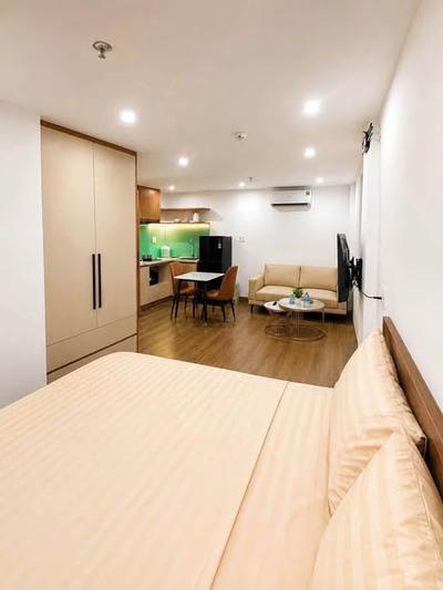 Apartment for rent, Tân Thái 8, Sơn Trà, Đà Nẵng - Thumbnail 4