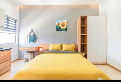 Studio for rent, 1 bedroom, 56 An Hải Đông 1, Sơn Trà, Đà Nẵng - Thumbnail 4