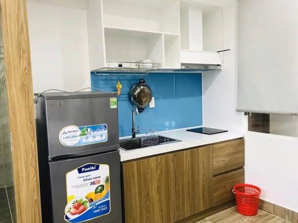 Cho thuê căn hộ, Tân Thái 1, Sơn Trà, Đà Nẵng - Photo 3