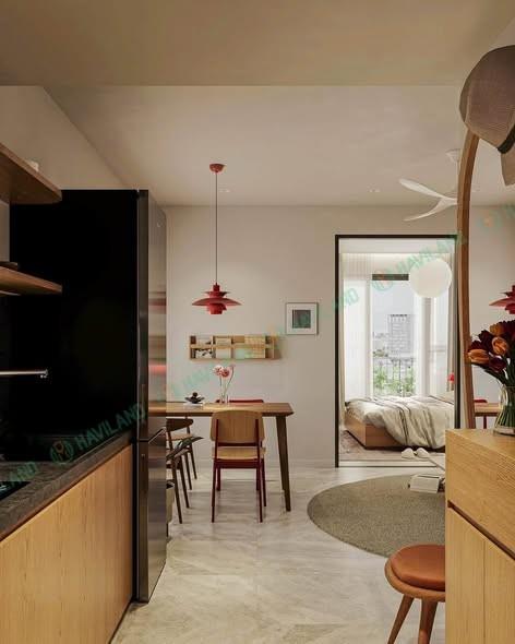 Cho thuê căn hộ, 48m², Cồn Dầu 19, Hòa Xuân, Đà Nẵng - Photo 3