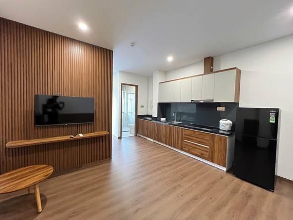 Cho thuê studio, 1 phòng ngủ, 45m², Đỗ Anh Hàn, Sơn Trà, Đà Nẵng - Photo 3