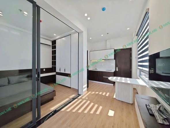 Apartment for rent, 1 bedroom, Nguyễn Sắc Kim, Hòa Xuân, Đà Nẵng - Photo 4