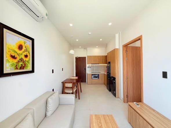 Cho thuê căn hộ, Đặng Vũ Hỷ, An Hải, Đà Nẵng - Photo 2