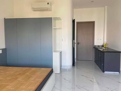 Cho thuê căn hộ, Giáp Văn Cương, Hòa Khánh, Đà Nẵng - Thumbnail 2