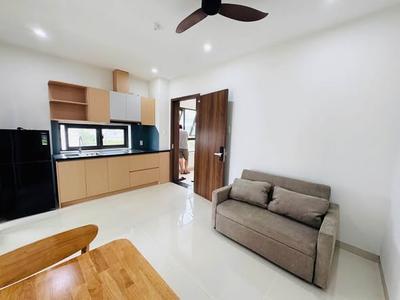 Cho thuê căn hộ, 48m², Cồn Dầu 19, Hòa Xuân, Đà Nẵng - Thumbnail 1