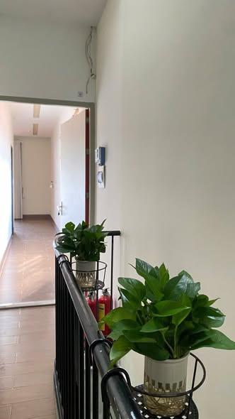 Apartment for rent, Sơn Thủy 2, Ngũ Hành Sơn, Đà Nẵng - Thumbnail 5