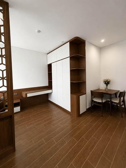 Studio for rent, 1 bedroom, 29 tháng 3, Hòa Xuân, Đà Nẵng - Photo 3